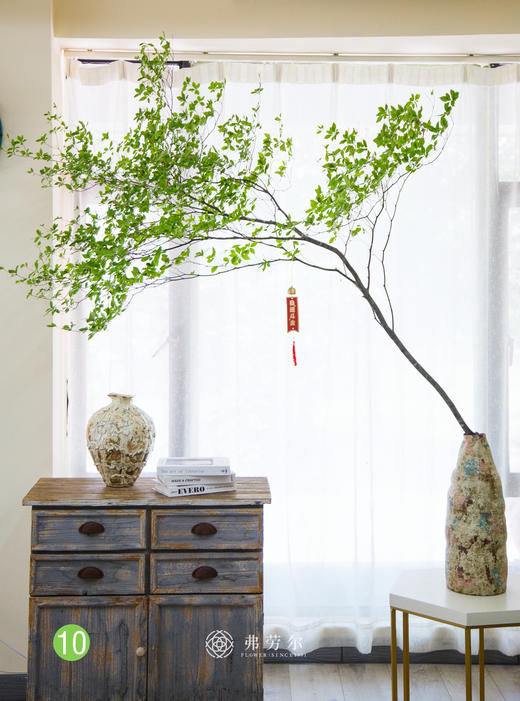 日本吊钟⑩（不含瓶） 商品图0