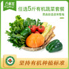 东升农场 有机宅配蔬菜套餐 商品缩略图5