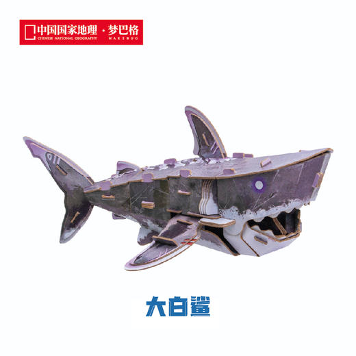 博物文创 班门弄甲系列拼插纸模 白鲸 大白鲨 鲸鲨 抹香鲸 送礼好物 商品图2