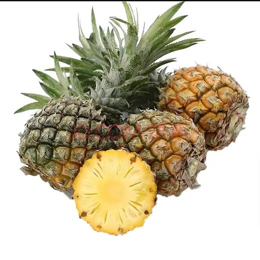 【生鲜预定】凤梨 商品图1
