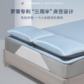 罗莱家纺 A类冰丝席【可机洗】抗菌防螨凉席床笠款三件套蓝180*200*30