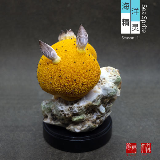 【手工制作】海洋精灵系列主题模型手办摆件 第①弹 海蛞蝓海兔 ★趣界工作室 官方正品 商品图1