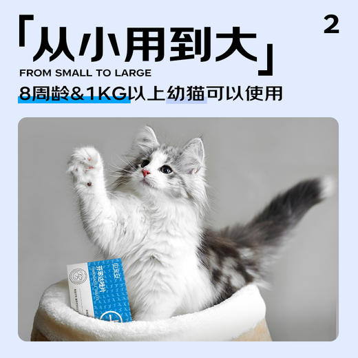 【Ramical雷米高】猫咪专用驱虫芬苯达唑猫咪体内驱虫药（4片/盒） 商品图3