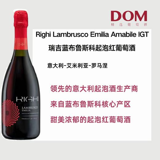 瑞吉蓝布鲁斯科起泡葡萄酒 RIGHI  Lambrusco sparkling wine 商品图1