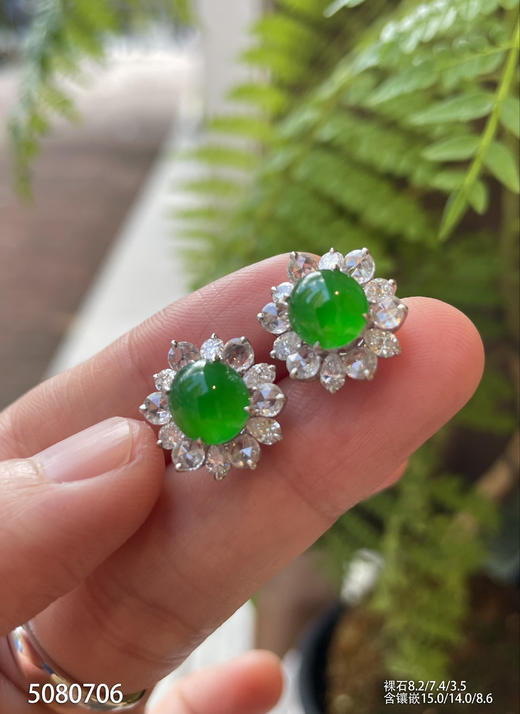 老坑玻璃种帝王绿蛋面耳钉【5080706】具体价格微信咨询 商品图3