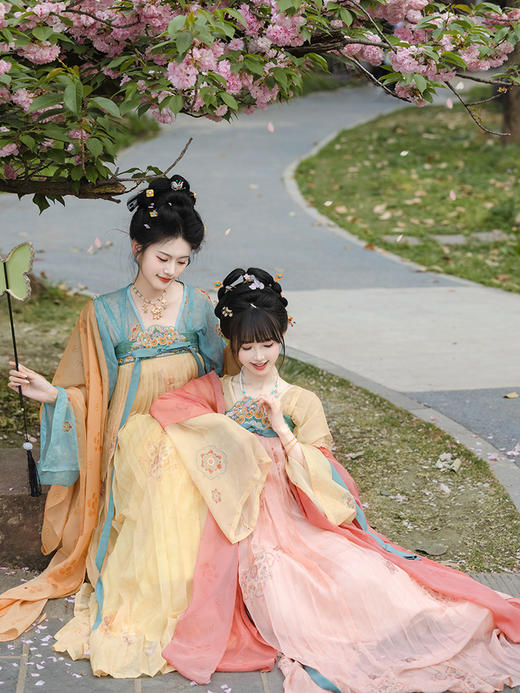 【重回汉唐云涧绣梦】正品原创唐制齐胸衫裙襦裙披帛日常轻汉服女成人 商品图1