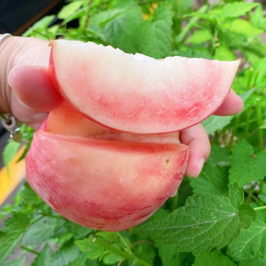 【十堰主城区包邮 】新鲜水果  自然熟甜脆多汁 丹江口贡桃6斤装/10斤装 商品图3