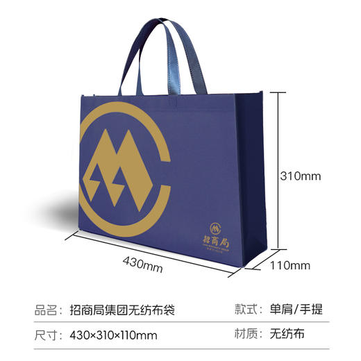 蓝神无纺布袋（10个装） 商品图3