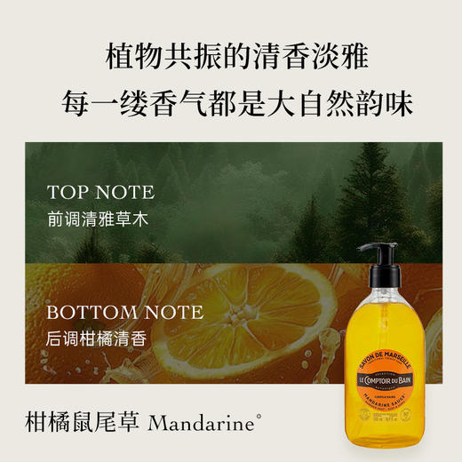 【胖东来同款】【APG面护级沐浴露】【品牌直供】丽芙沐浴露柑橘香型500ml 深层清洁好冲洗不假滑（27.07）新老包装随机发 商品图1