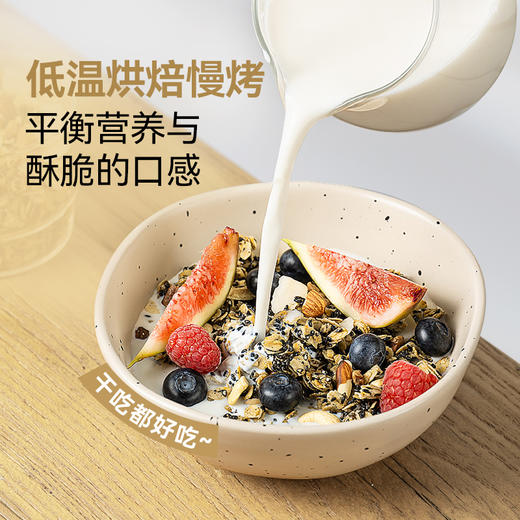 璞匠黑芝麻坚果烘焙燕麦片早餐即食冲饮水果坚果燕麦片官方旗舰店 商品图1