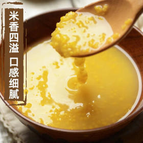 晋味美 山西黄小米5斤 山西特产山西小米五谷杂粮黄小米小米粥家庭款 /粮油调味 /杂粮 /谷米类