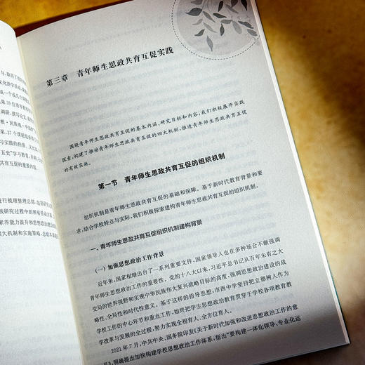 青春辉映理想之光 以“五史”教育为抓手构建高中青年师生思政共育互促机制的校本实践 商品图12