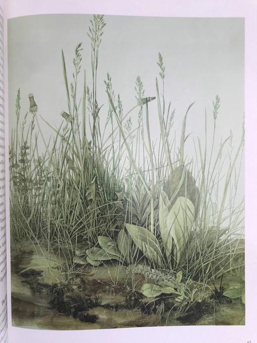 文艺复兴时期的艺术与建筑杰作 107幅插图 精装大16开 商品图14