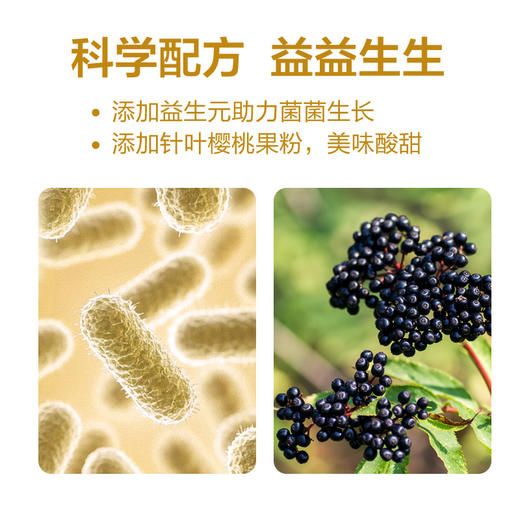 BEINGMATE 生命伴侣2号即食型乳酸菌 (30粒胶囊款) 商品图7