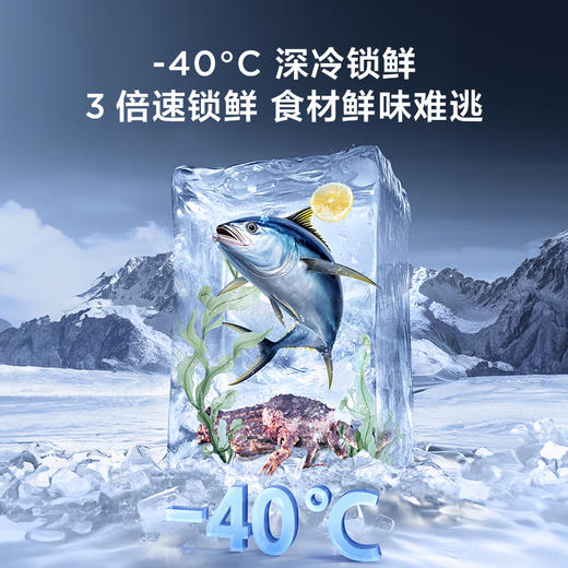 TCL 460升T9十字四开门58cm超薄零嵌入式底部散热双净味宽幅变温冰箱 R460T9-UQ 商品图4