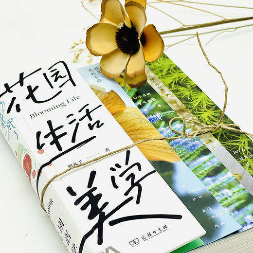 花园生活美学  蔡丸子 著  商务印书馆 商品图8
