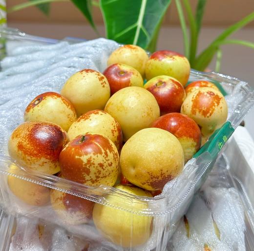 山西 牛奶冬枣 商品图4