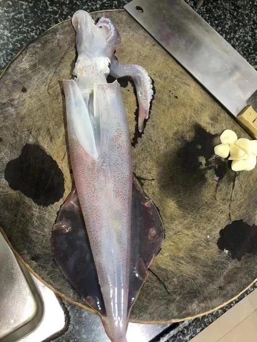 【野生】超低温  活冻手钓大管 300g-500g 商品图2