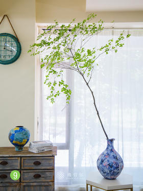 日本吊钟⑨（不含瓶）