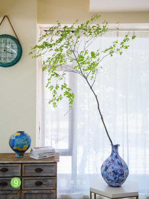 日本吊钟⑨（不含瓶） 商品图0