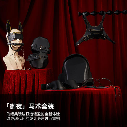 【重磅新品】纵锦浪里 马术套装 SM道具女王调教捆绑口球牵引爬行 商品图2