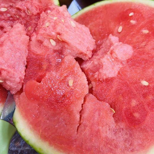 盘个瓜 甘美西瓜【单个6.5-7斤多】甜蜜多汁 商品图2