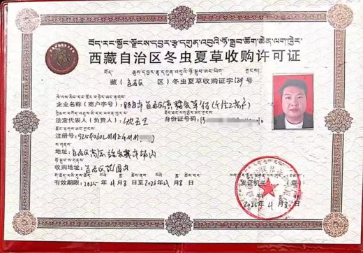 【25年 新草】【那曲高海拔 冬虫夏草干草】 无断草 约4条/克 简装/礼盒任选 商品图0