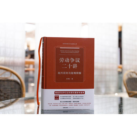 劳动争议二十讲：裁判规则与疑难释解 吴博文著 法律出版社 商品图1