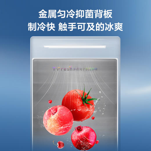 TCL 460升T9十字四开门58cm超薄零嵌入式底部散热双净味宽幅变温冰箱 R460T9-UQ 商品图6