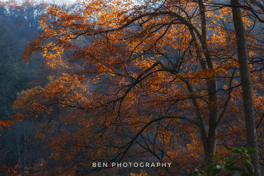【秦岭秋色】光雾山、黎坪、龙头山、曾家山、昭化古城8天摄影团 商品图3