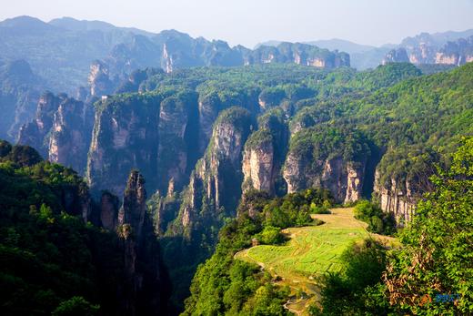 9.8确定出发【湖南湘西】峰林张家界•湘西集市人文•凤凰古城5天摄影 商品图5