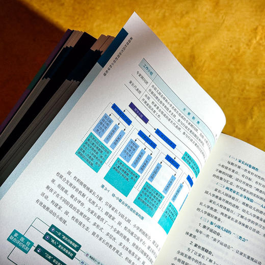 家园校社四方协同的幼小科学衔接 迈向高质量的幼小衔接丛书 商品图10