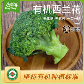 东升农场 有机西兰花 绿花椰菜 青椰菜花 广州供港新鲜蔬菜250g