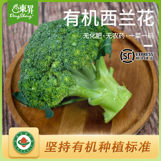 东升农场 有机西兰花 绿花椰菜 青椰菜花 广州供港新鲜蔬菜250g 商品图0