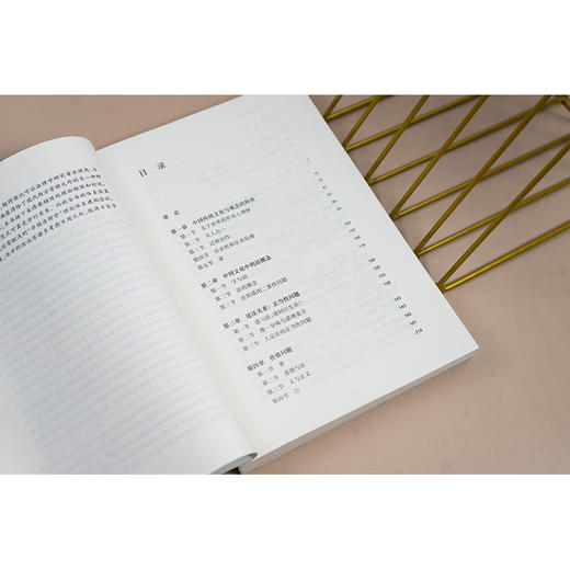 中国法理学论稿 李平著 法律出版社 商品图3