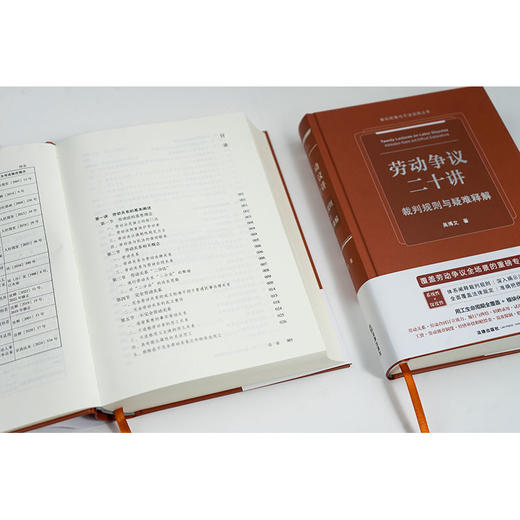 劳动争议二十讲：裁判规则与疑难释解 吴博文著 法律出版社 商品图3
