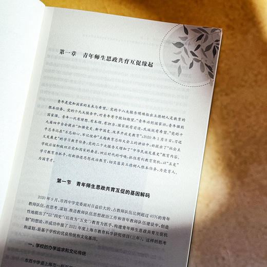 青春辉映理想之光 以“五史”教育为抓手构建高中青年师生思政共育互促机制的校本实践 商品图7