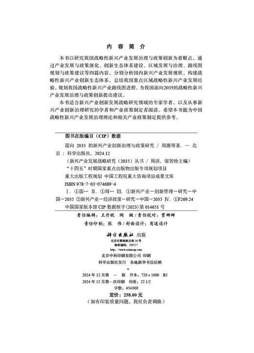 面向2035的新兴产业创新治理与政策研究 商品图2