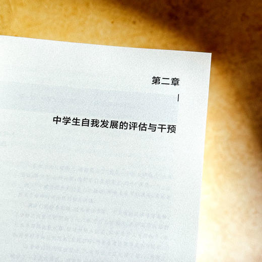 从“心”理解学生 中学生心理评估与干预策略 青少年心理教育 商品图11