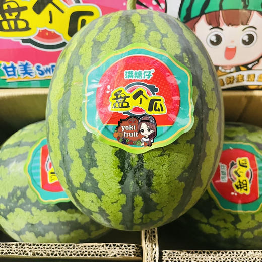 盘个瓜 甘美西瓜【单个6.5-7斤多】甜蜜多汁 商品图4