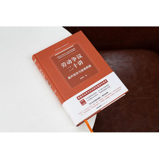 劳动争议二十讲：裁判规则与疑难释解 吴博文著 法律出版社 商品图2