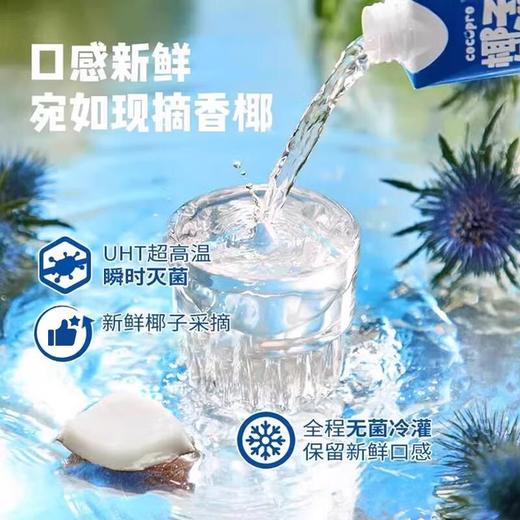 椰子知道100%椰子水1L 商品图2