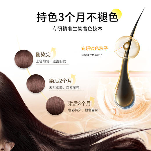 【每盒送发膜】圣诗婷【2盒装】经典植物染发剂-赠送鱼子酱发膜28ml+染发工具8件套   1221返团 商品图3