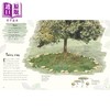 【中商原版】DK真菌选集 An Anthology of Fungi 英文原版 儿童科普绘本 一本精美的野外指南 知识百科图画书 进口童书 精装 商品缩略图2