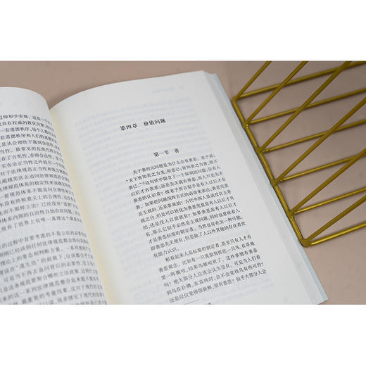 中国法理学论稿 李平著 法律出版社 商品图1