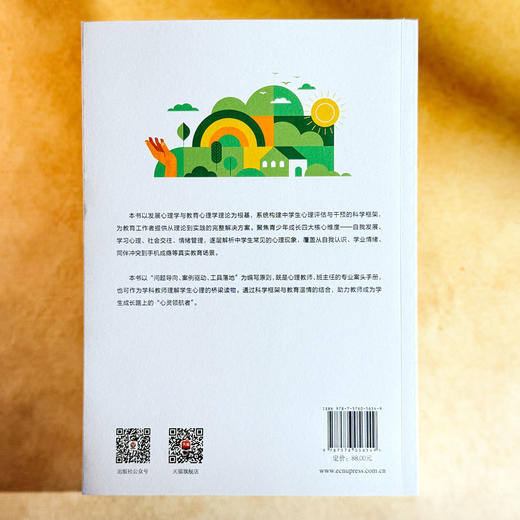 从“心”理解学生 中学生心理评估与干预策略 青少年心理教育 商品图2