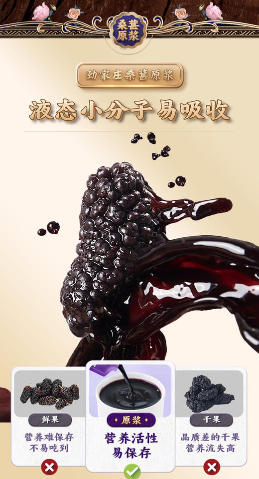1盒5袋装 新品黑桑葚原浆  （体验装） 商品图13