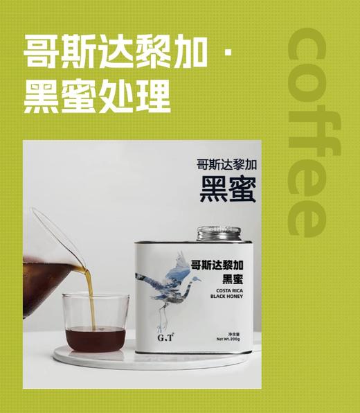 哥斯达黎加 黑蜜 商品图0