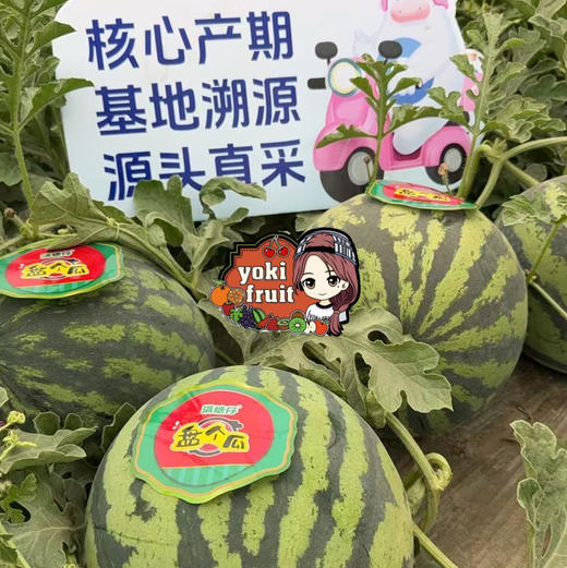 盘个瓜 甘美西瓜【单个6.5-7斤多】甜蜜多汁 商品图5