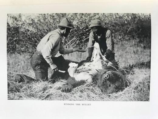 1909年 两个狄安娜在阿拉斯加 约30幅插图 漆布精装大32开 商品图5